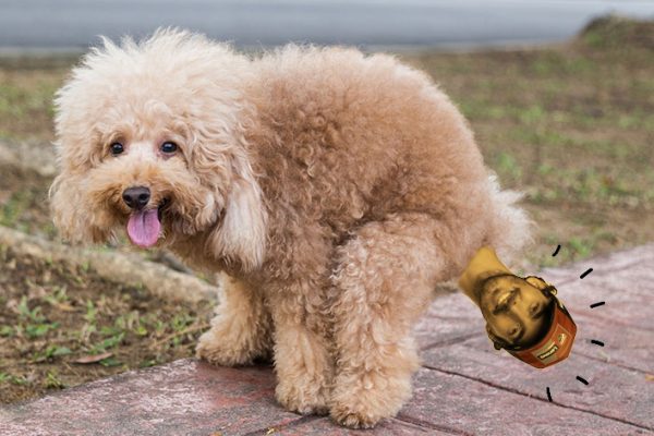 Why is Bagnaia now dog sh*t?